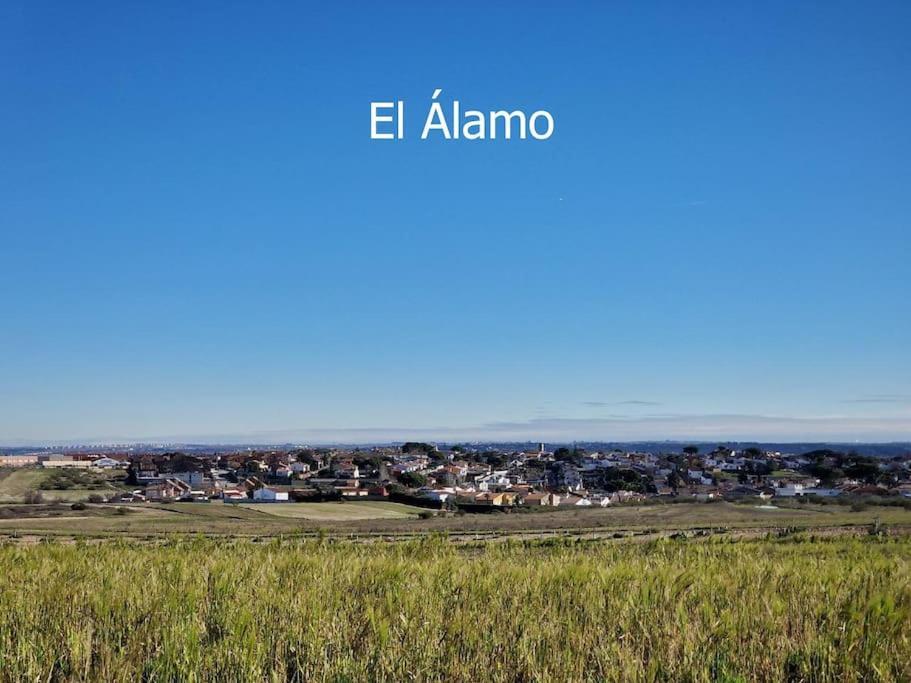 Primera Planta Completa, El Álamo Exterior foto